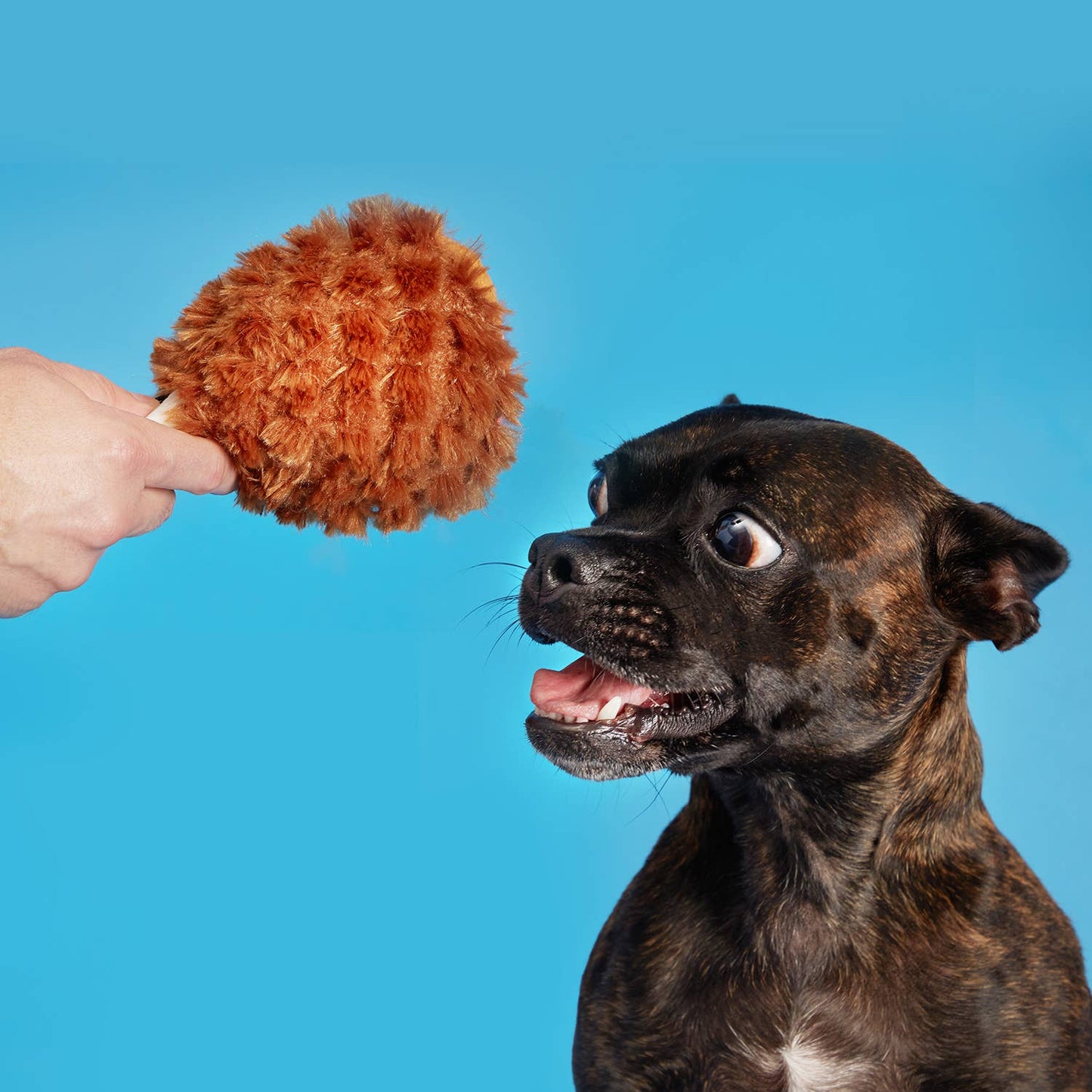 BARK Tavern Turkey Leg Plush Dog Toy