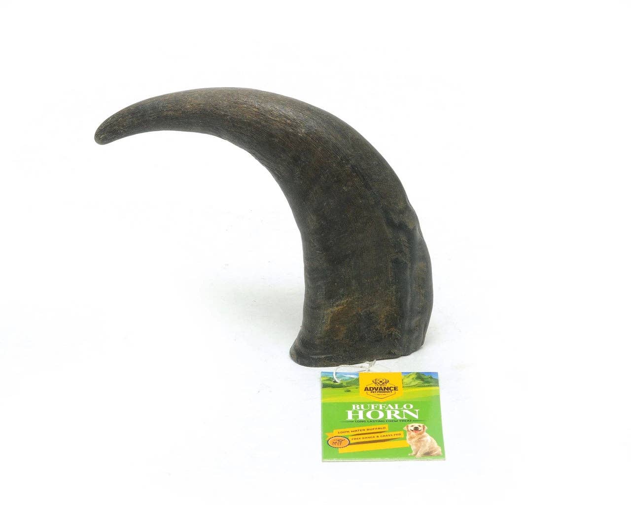 Water Buffalo Horn