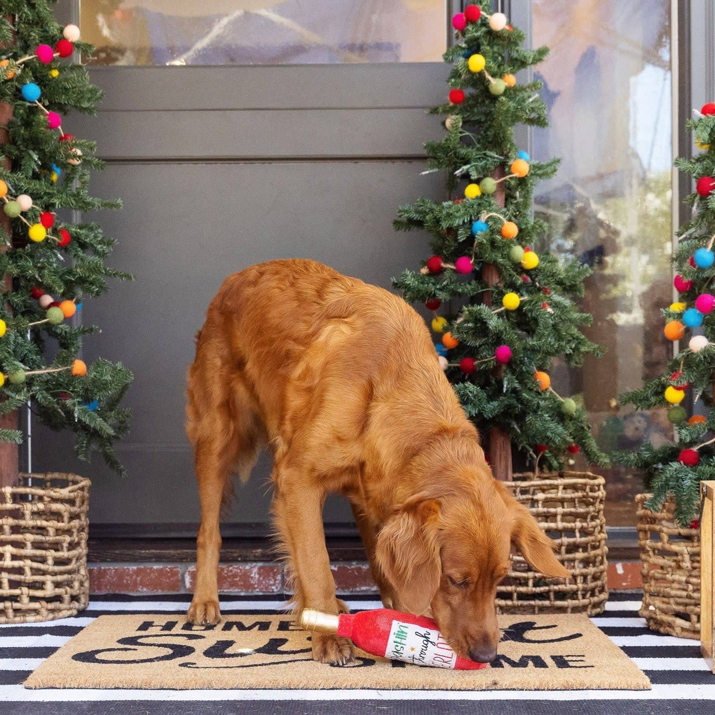Dashin' Through Merlot Dog Toy