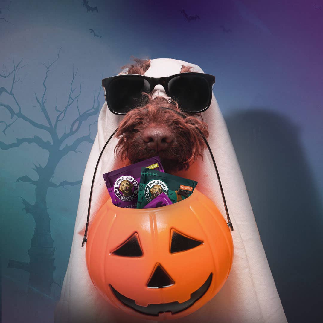 NEW! Tail-O-Ween 1oz. Treat Packs (12 count bag)