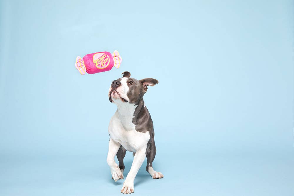 BARK Bubble Gum