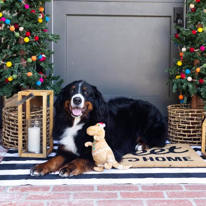Cookie-Saurus Plush Dog Toy